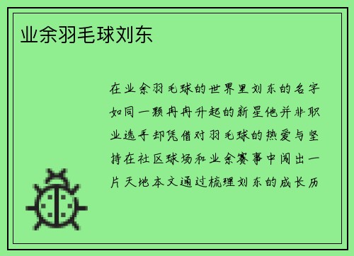 业余羽毛球刘东