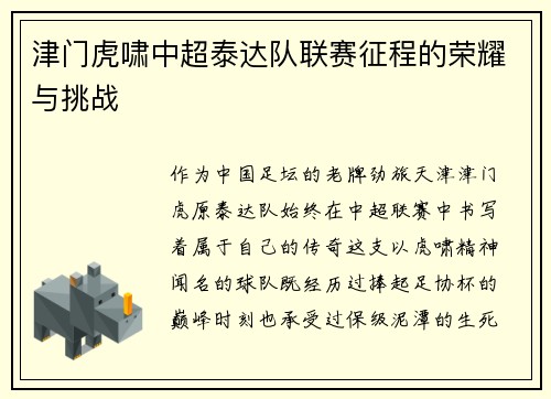 津门虎啸中超泰达队联赛征程的荣耀与挑战